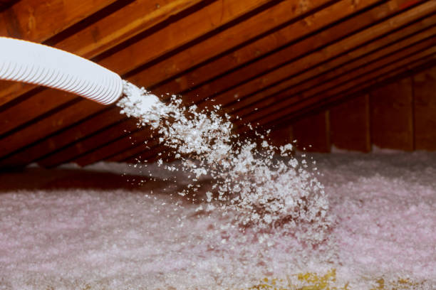 Best Commercial Insulation in Francisville, KY