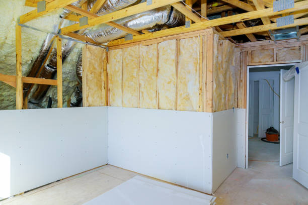 Best DIY Insulation Kits and Guidance in Francisville, KY