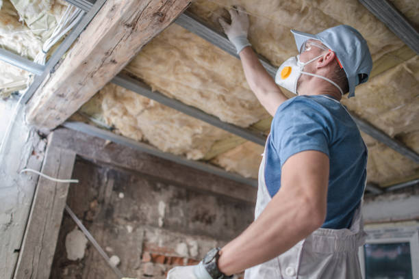 Best Spray Foam Insulation in Francisville, KY