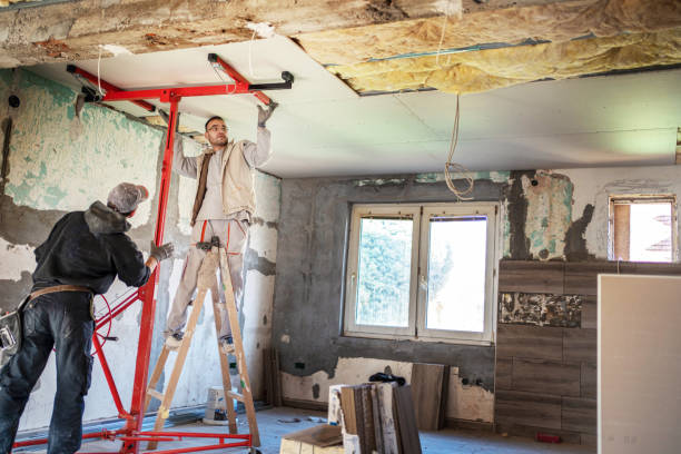 Best Geographic-Specific Insulation Services in Francisville, KY